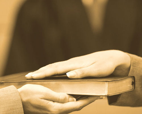 expert-witness expert-witness