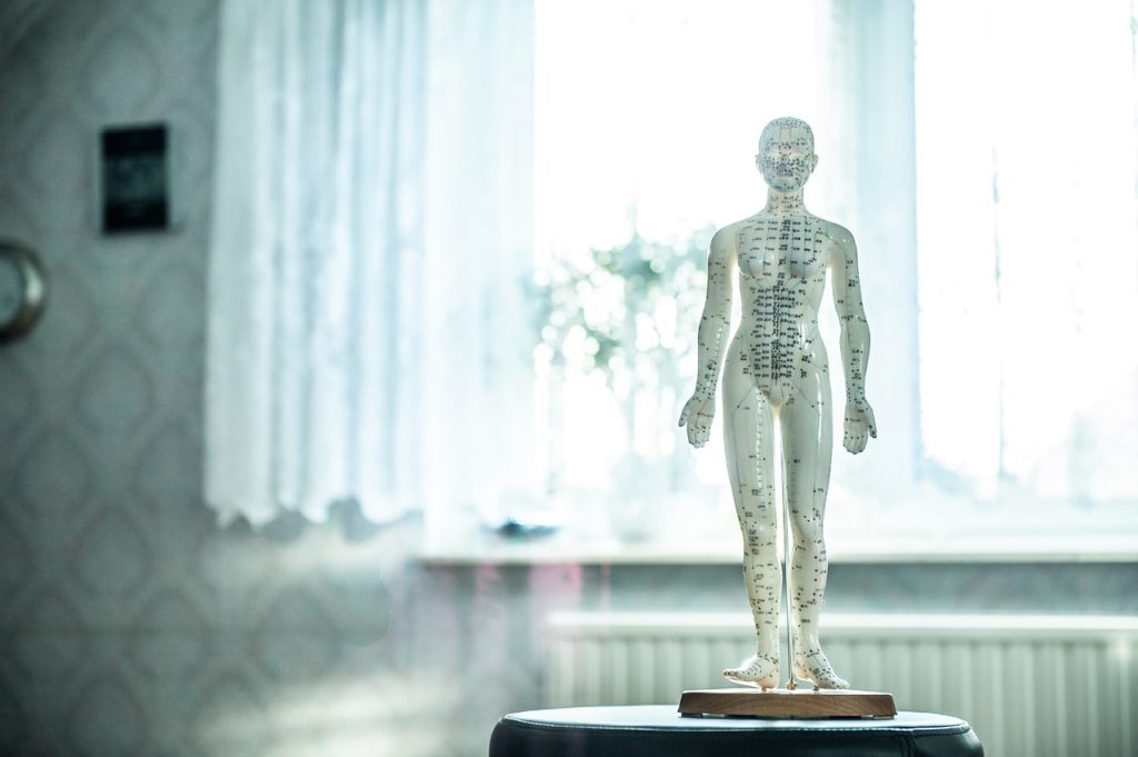 Acupuncture doll